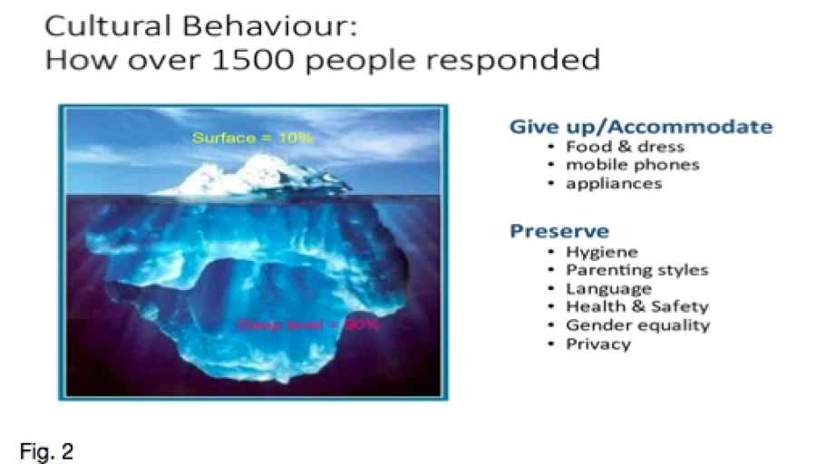 Witnessing in diversity: Churches working for an inclusive Ireland