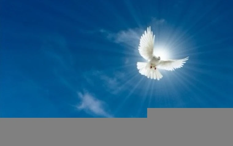 Irish Church leaders welcome cessation of armed conflict in Gaza