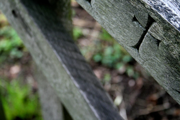 International Day of Prayer for Climate Justice